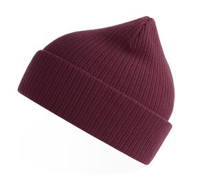 ATLANTIS HEADWEAR AT230 - Organic cotton beanie